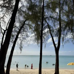 Mont Choisy Beach - Petit Raffray