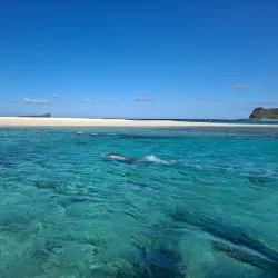 Northern Islands Excursion - Petit Raffray