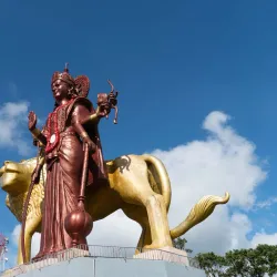 Black River Gorges National Park - Petite Riviere