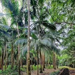 Chamarel Village - Petite Riviere