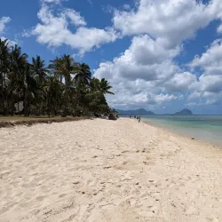 Flic en Flac Beach - Petite Riviere