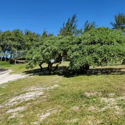 La Cambuse Beach - Petite Riviere