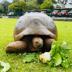 La Vallee des Couleurs Nature Park - Petite Riviere