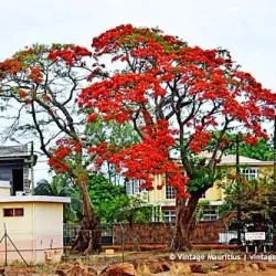 Petite Riviere Village - Petite Riviere