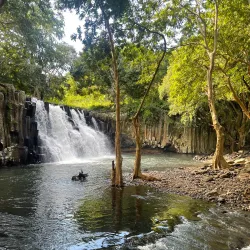 Rochester Falls - Petite Riviere