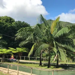 Domaine de l'Etoile - Poudre D'or