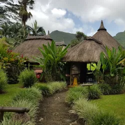 Domaine de l'Etoile - Poudre D'or
