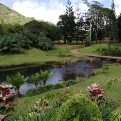 Domaine de l'Etoile - Poudre D'or