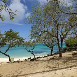 La Cuvette Beach - Poudre D'or