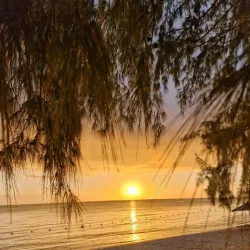 Mont Choisy Beach - Poudre D'or