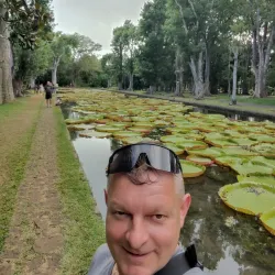 Pamplemousses Market - Poudre D'or