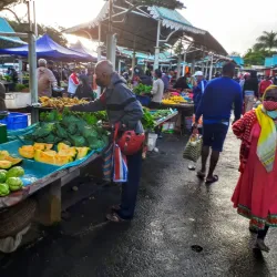 Pamplemousses Market - Poudre D'or