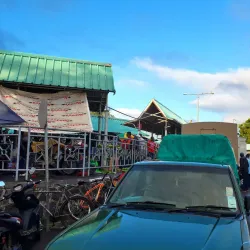 Pamplemousses Market - Poudre D'or