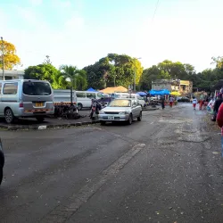 Pamplemousses Market - Poudre D'or