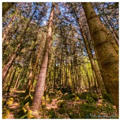 Bras d'Eau National Park - Quartier Militaire