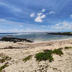 Bras d'Eau National Park - Quartier Militaire