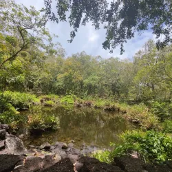 Bras d'Eau National Park - Quartier Militaire