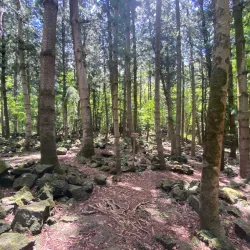 Bras d'Eau National Park - Quartier Militaire