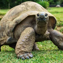 La Vallée de Ferney - Quartier Militaire