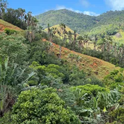 La Vallée de Ferney - Quartier Militaire