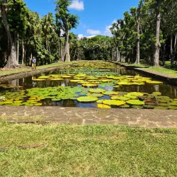 Sir Seewoosagur Ramgoolam Botanical Garden - Quartier Militaire