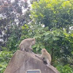 Trou aux Cerfs - Quartier Militaire