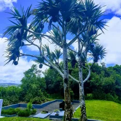 Trou aux Cerfs - Quartier Militaire