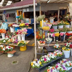 Curepipe Market - Quatre Bornes