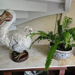 Eureka House - Quatre Bornes