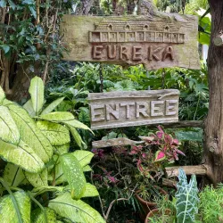 Eureka House - Quatre Bornes