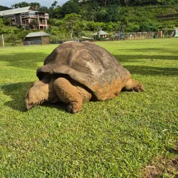 La Vallée des Couleurs Nature Park - Quatre Bornes