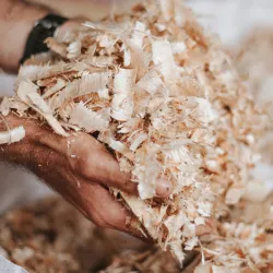 La Vieille Cheminée Park - Quatre Bornes