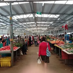 Quatre Bornes Market - Quatre Bornes