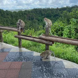 Trou aux Cerfs - Quatre Bornes