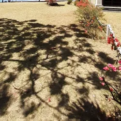 Cap Malheureux - Riviere Du Rempart