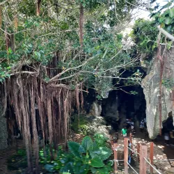 La Caverne Patate - Riviere Du Rempart