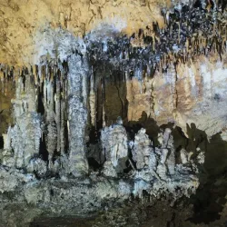 La Caverne Patate - Riviere Du Rempart