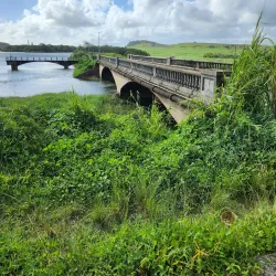 La Nicoliere Waterfall - Riviere Du Rempart