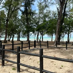 Mont Choisy Beach - Riviere Du Rempart