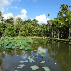 Pamplemousses Botanical Garden (Sir Seewoosagur Ramgoolam Botanical Garden) - Riviere Du Rempart