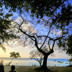 Pereybere Beach - Riviere Du Rempart