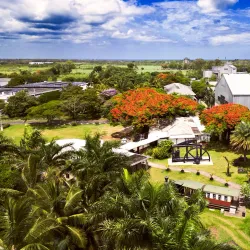 Sugar Museum and Factory - Riviere Du Rempart