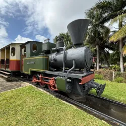 Sugar Museum and Factory - Riviere Du Rempart