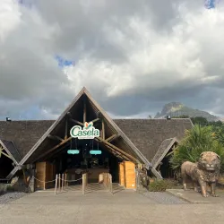 Casela World of Adventures - Tamarin