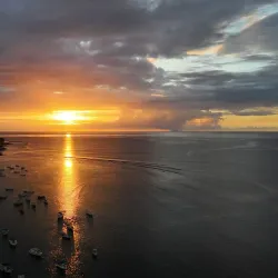 Dolphin Watching Tours - Tamarin