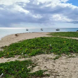 La Preneuse Beach - Tamarin