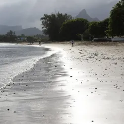 Tamarin Bay Surf School - Tamarin