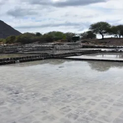 Tamarin Market - Tamarin