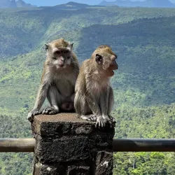 Sunset Viewpoint - The Vale