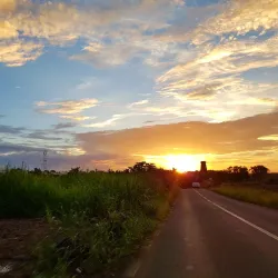 The Vale Village Market - The Vale